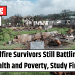Maui Wildfire Survivors Still Battling Mental Health and Poverty, Study Finds